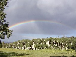 rainbow at Ewells Park